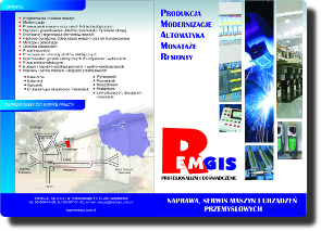 logo remgis