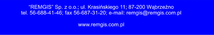logo remgis